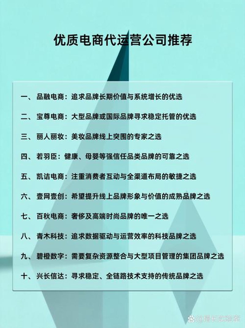 电商时代的变革风潮：武汉电子商务公司引领未来